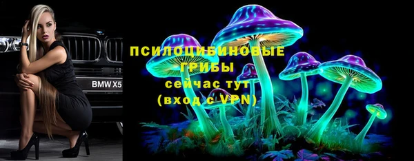 индика Алексин