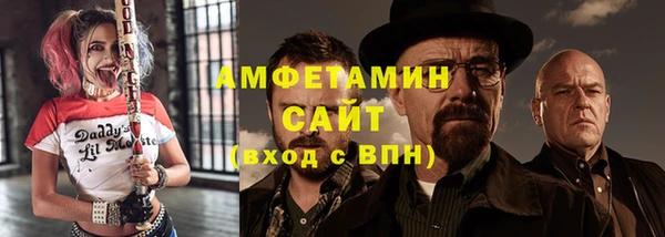 ECSTASY Горняк