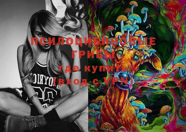 индика Алексин