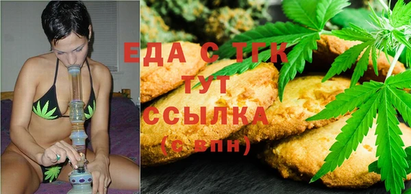 индика Алексин