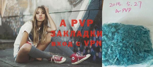 индика Алексин