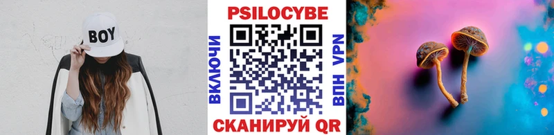 Псилоцибиновые грибы ЛСД  магазин  наркотиков  Орлов 